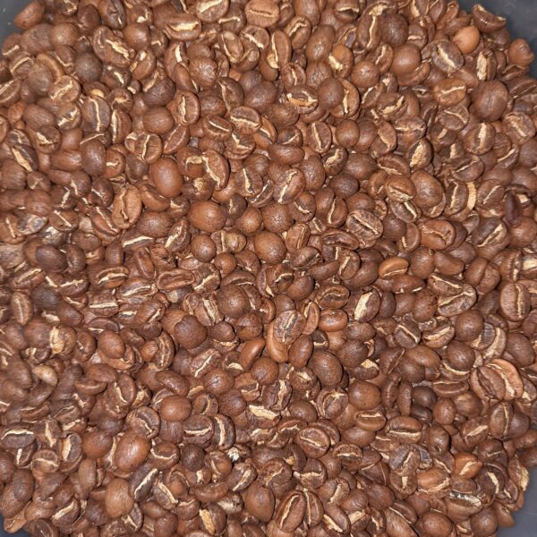 Café en grano Catuai Lavado