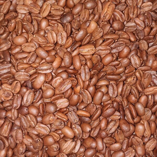 Café en grano Gesha 1700 Anaeróbico