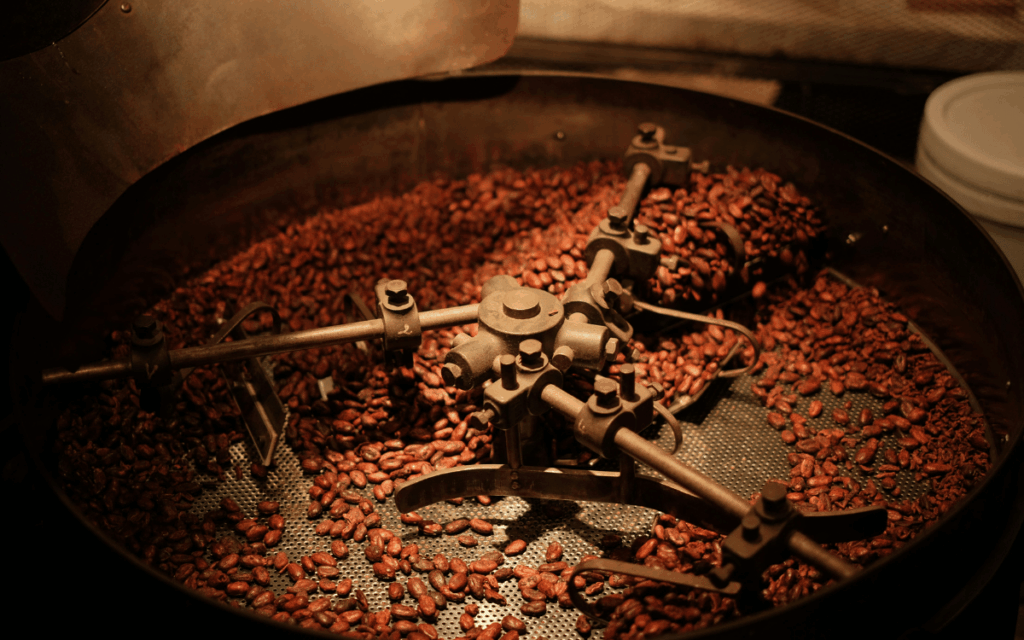 Selección manual de granos de café en proceso de control de calidad
