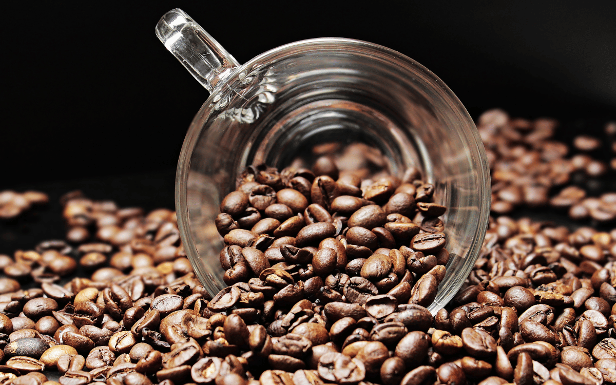Experiencia de degustación de café de especialidad en entorno elegante
