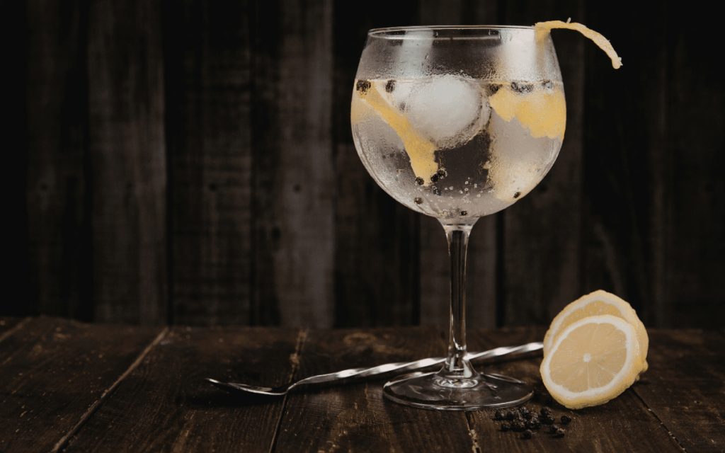 Degustación de ginebras premium con hielo y cítricos