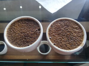 cafe geisha
